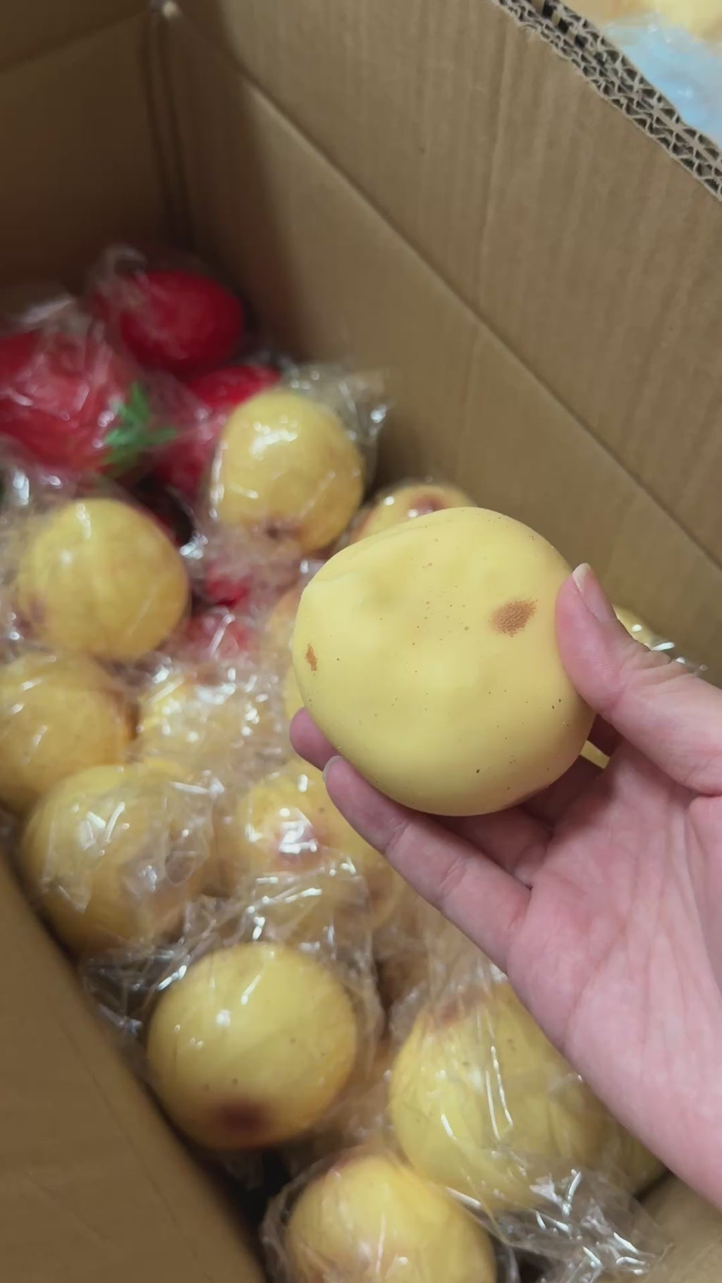 Crunchy Potato Squishy – Soft Outside Crunchy Inside Sensory Potato Squishy